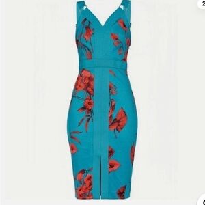 Ted Baker Blue and Red Floral Dress size 0